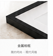 Metal Frames
