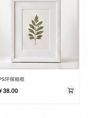 PS Eco Frame